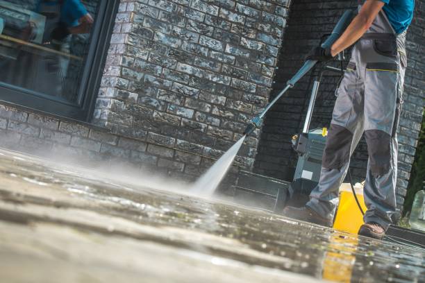 Best Window and Screen Pressure Cleaning in Wells Branch, TX