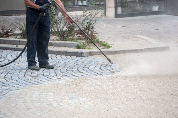 Best Sidewalk and Walkway Pressure Cleaning in Wells Branch, TX